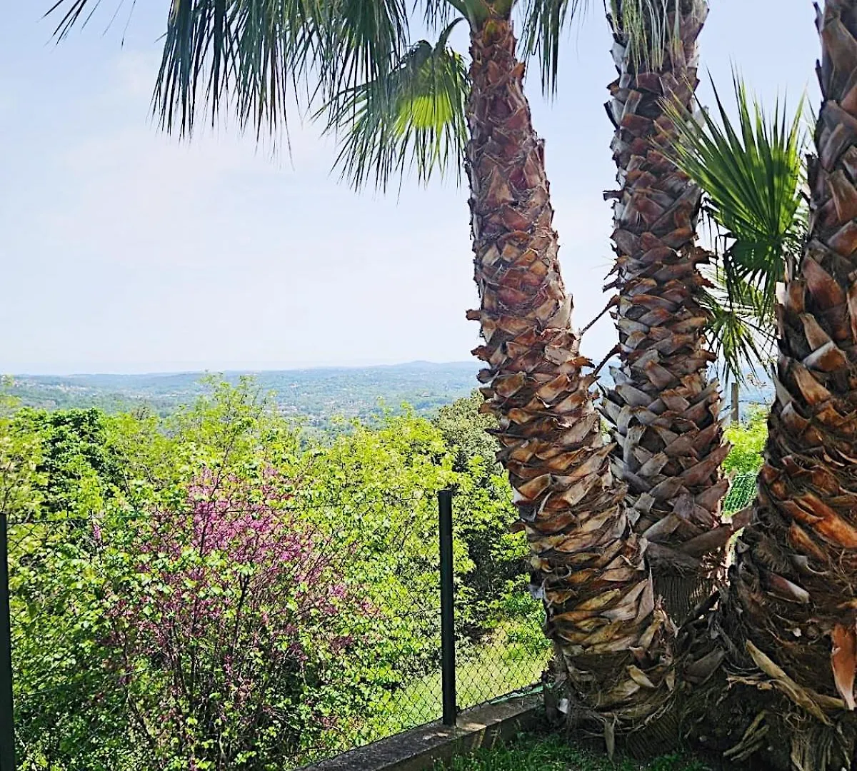 Le Refuge Du Grand Vert Grasse 0*,
